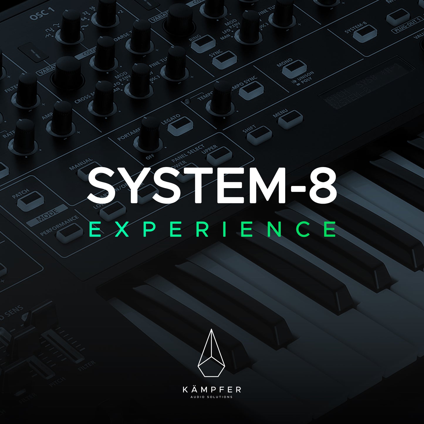 SYSTEM-8 EXPERIENCE